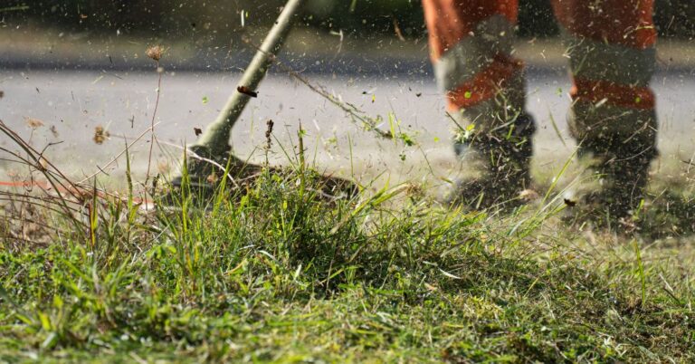 corte de grama em Natal